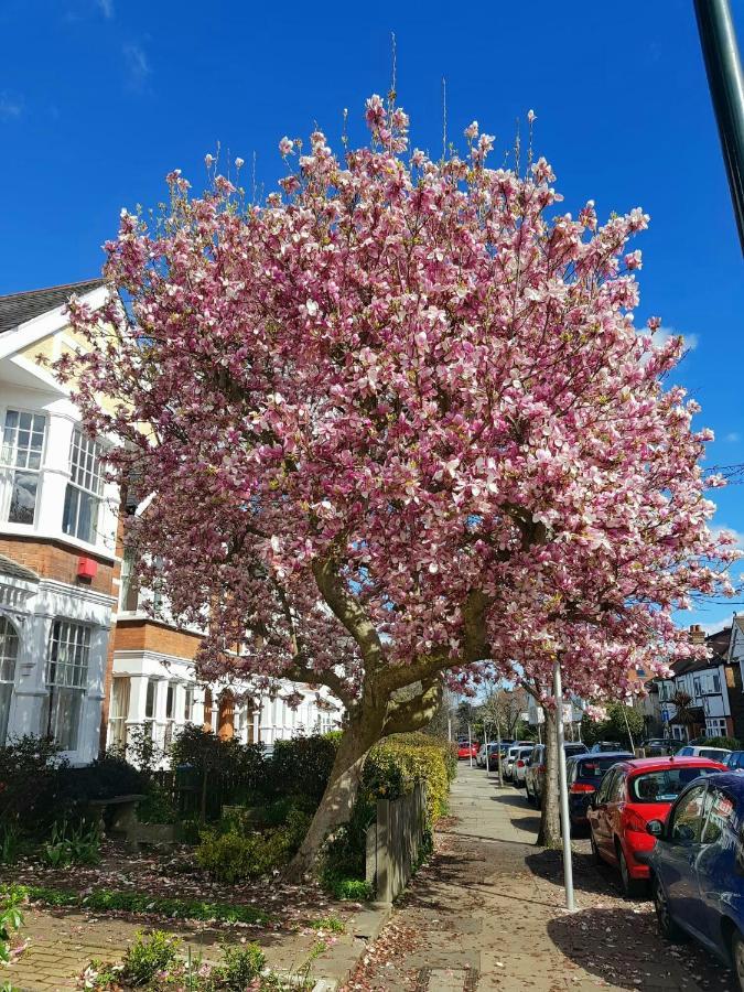 Kew Gardens - Private Double Room Richmond London - Homestay Exteriör bild