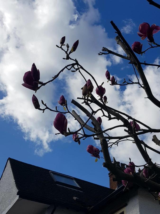 Kew Gardens - Private Double Room Richmond London - Homestay Exteriör bild